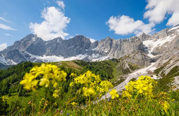 Fascinating panorama of the "Dachstein Südwand", a paradise for hikers, nature lovers and mountaineers. (Peaks from left to right: Torstein, Mitterspitz, Hoher Dachstein, Dirndl, Hunerkogel).