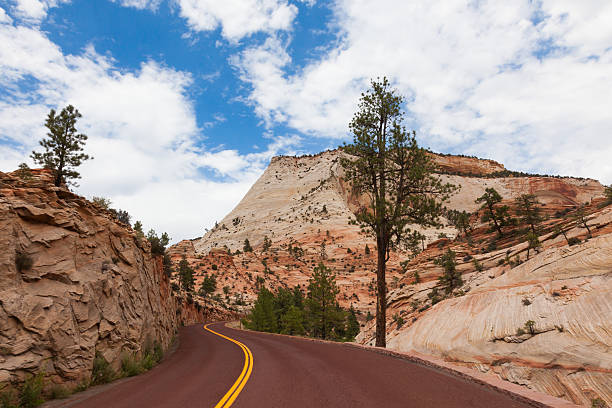 istock Road through Zion national park in Utah 149858544