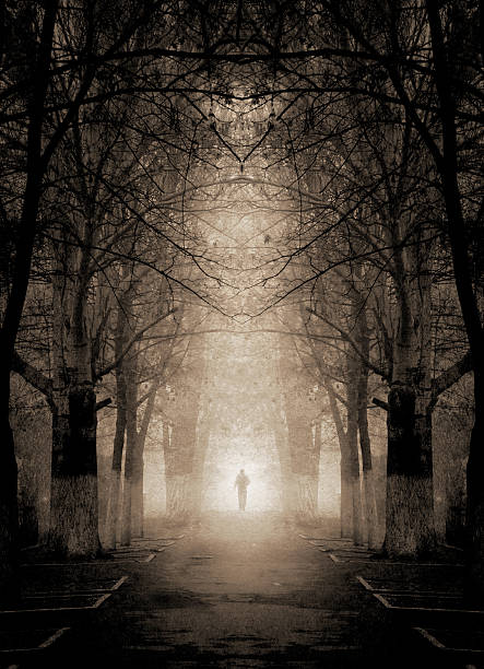 istock Gloomy night landscape in the woods with a distant figure 149858813