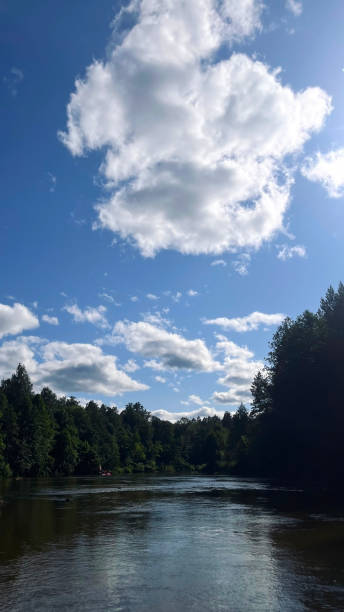 istock Forest and river in summer in central Russia 1498588679