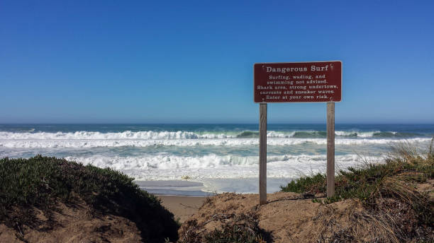 istock Point Reyes Beach North Dangerous Surf Sign 1498593648