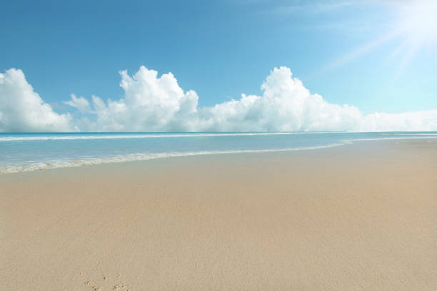 istock Sandy beach with the blue ocean 1498593856