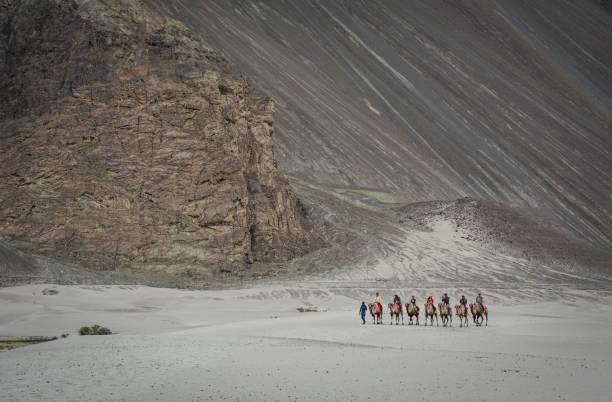 Ladakh, India - Jul 19, 2015. Tourists riding camels in Ladakh, India. Ladakh is the highest plateau in state of Jammu & Kashmir with much of it being over 3000m.