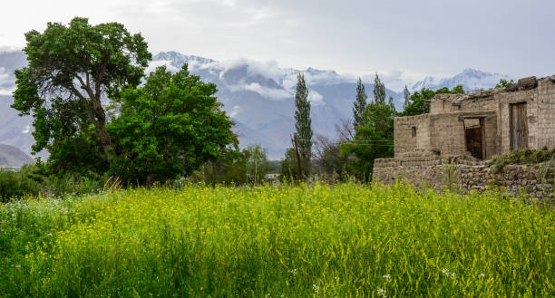 istock Stone house in Ladakh, India 1498598802