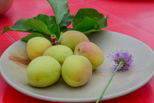Fresh apricot fruits on white ceramic dish