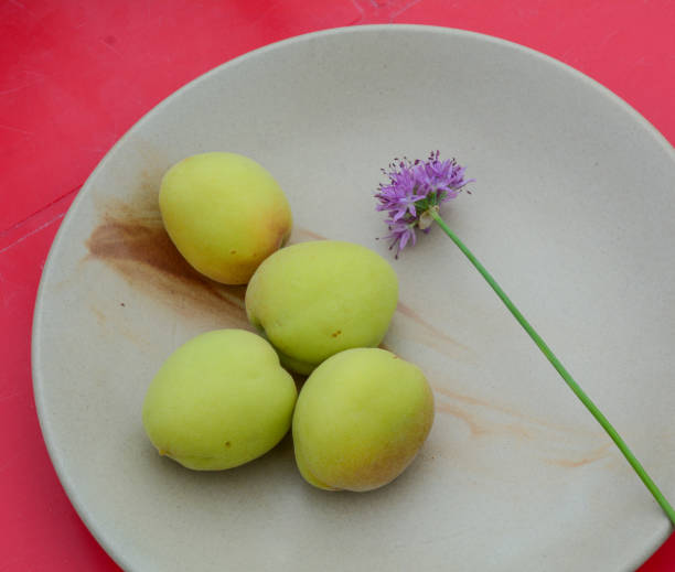 istock Fresh apricot fruits on white ceramic dish 1498598839