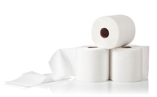 Rolls of paper towels are isolated on a white background.