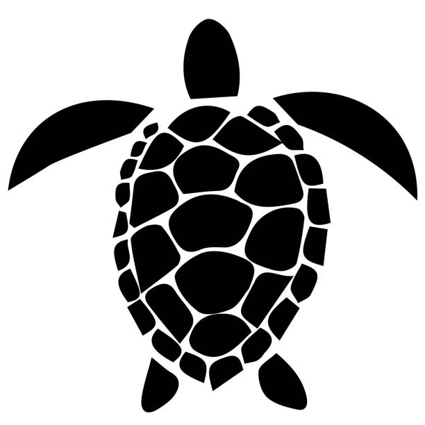 Vector turtle black icon Turtle marine animal illustration. Simple illustration of turtle marine animal vector icon for web design isolated on white background sea turtle clipart stock illustrations
