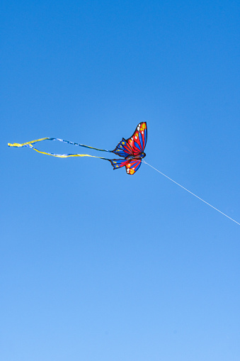 aa kite flies in the blue sky kite flies in the blue sky