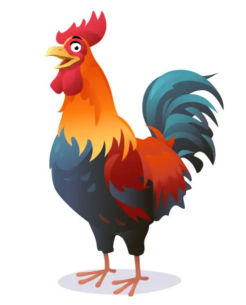 Vector illustration of Rooster