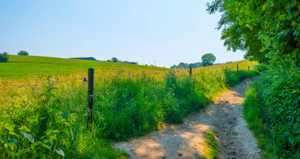 istock Fields and trees in a green hilly grassy landscape under a blue sky in sunlight in springtime 1498610353