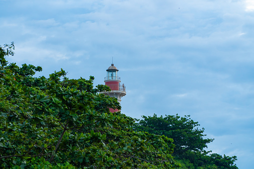 The top of the lighthouse peeks out over the woods at the seaside. Nautical icons, directions.