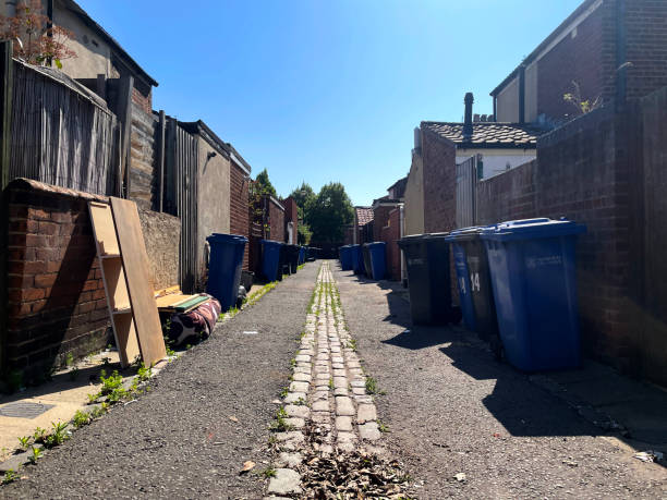 istock Wheelie bins in an alley 1498611652