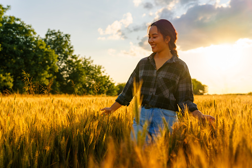 Happy young Asian woman walking in a wheat field