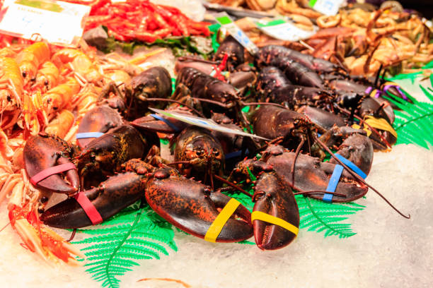 istock Fresh lobsters at the seafood market 1498616371
