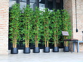 Artificial bamboo in pots.
