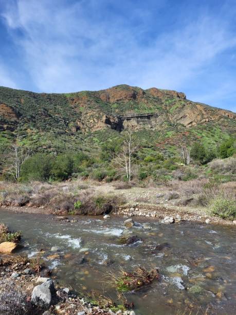 istock Rocky cliff, overlooking a small creek and thick foliage below 1498620655