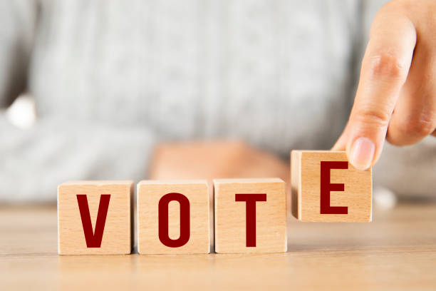 istock Wood Block with Vote 1498621338