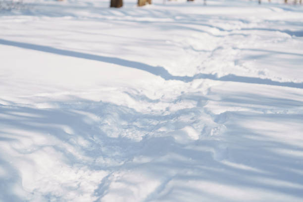 trodden town path in snow in the morning after snowfall, shallow focus