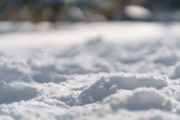 trodden path in snow in the morning after snowfall, shallow focus