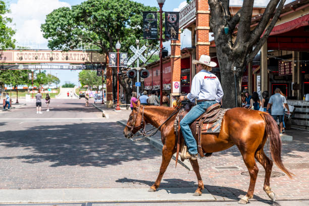 Fort Worth, Texas, USA. 31 May 2023. Man on horse back, in a cowboy hat, in Fort Worth, Texas