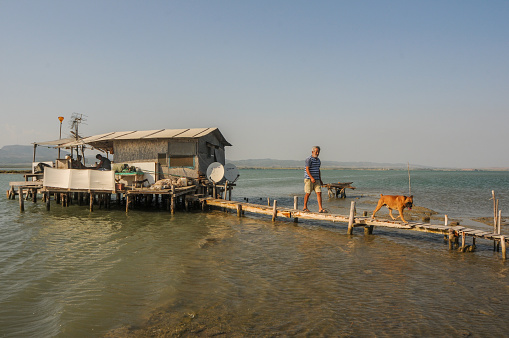 Turkey, Adana - July 25, 2009: On the pier with the fishing dog living alone in the lagoon lake
