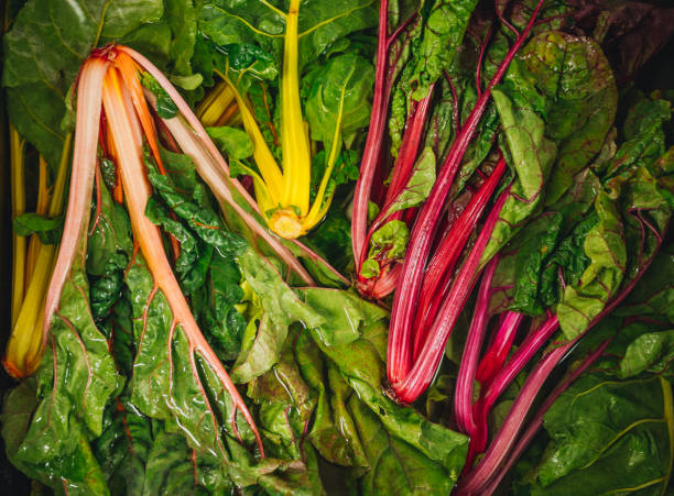 istock fresh, healthy Swiss chard vegetables. washed in water 1498631131