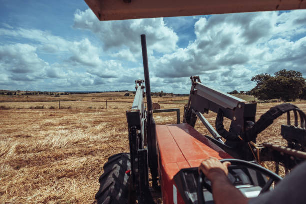 istock Agricultural activity in Italy: tractor at work in the field 1498631201