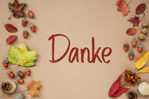 Autumn Background with Autumn Decoration, With Acorns and Fall Leaves and german Text Danke, which means Thank You