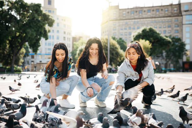 istock Three young women feeding pigeons 1498640320