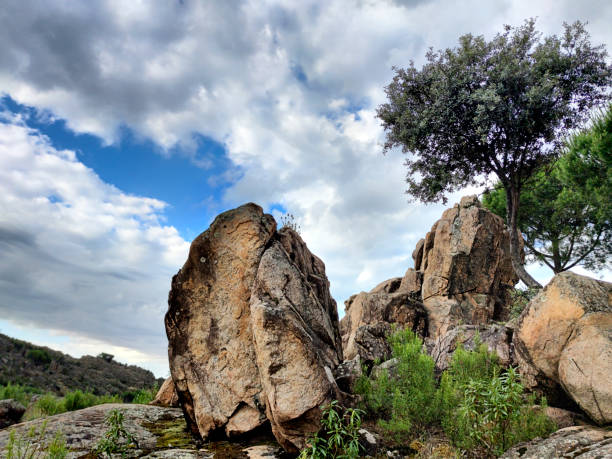 istock Granite, pines and holm oaks 1498642635
