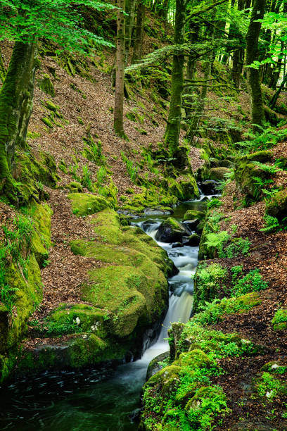 istock Cloghleagh Falls in Wicklow, Ireland 1498648239
