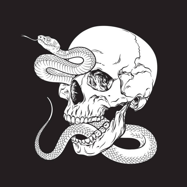 человеческий череп с ядовитой змеей, изолированная флэш-татуировка или печатный дизайн, нарисованная от руки, линейная графика, векторная � - animal head flash stock illustrations