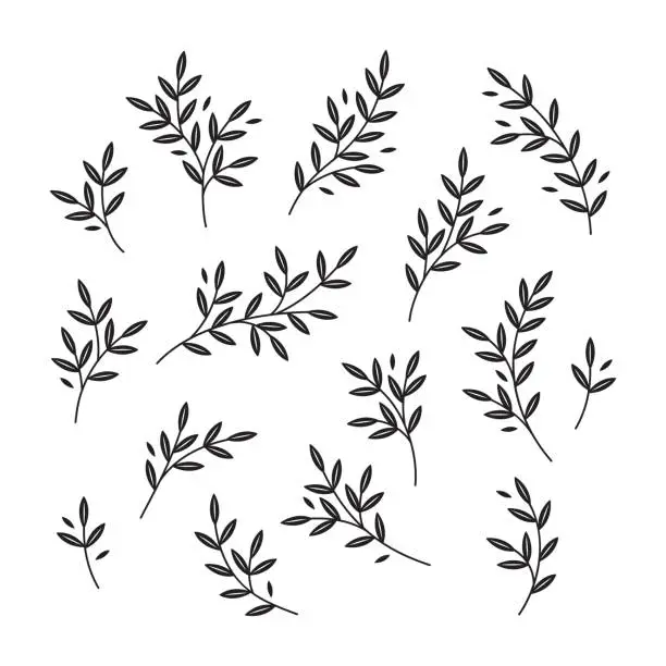 Vector illustration of Hand drawn set of branches silhouettes in graphic style isolated vector illustration