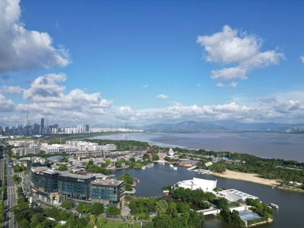 istock The Chinese city under the blue sky and white clouds - Shenzhen. 1498649876