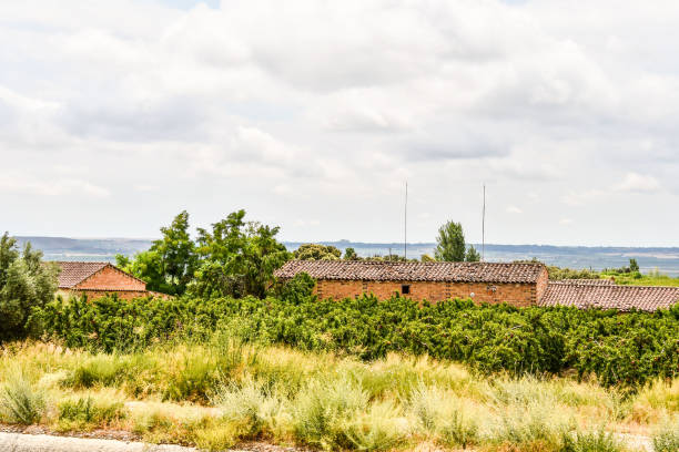 istock house in field, photo as a background 1498653833