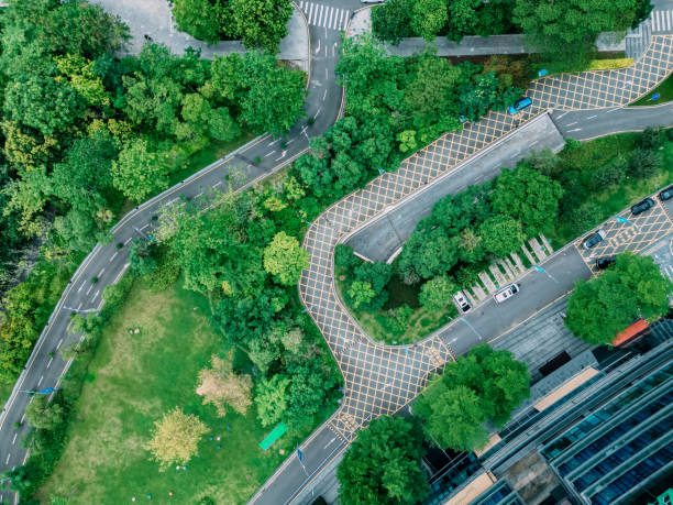 istock City roads and trees from an aerial perspective 1498654851