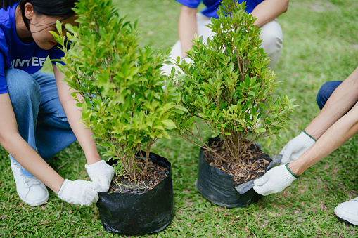 Volunteers of various nationalities are showing solidarity by sacrificing their personal time by planting trees to restore nature to reduce carbon dioxide in the air