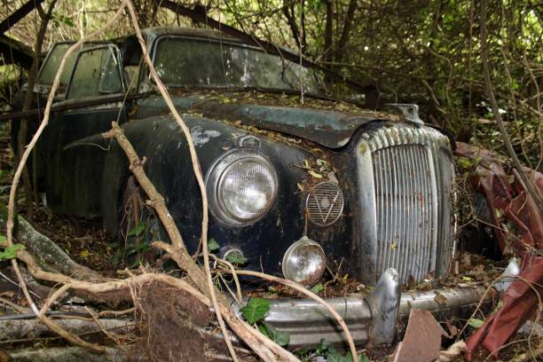 istock Aged abandoned classic car covered with debris 1498657345