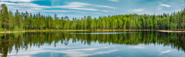 Reflection in forest lake in Scandinavia stock photo