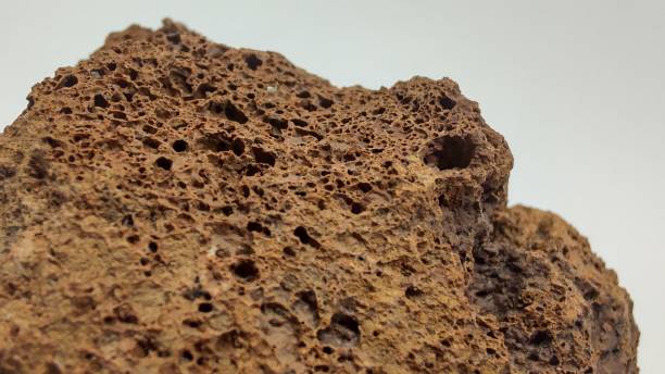 макроснимок коричневой вулканической породы на белом фоне - giant perch стоковые фото и изображения