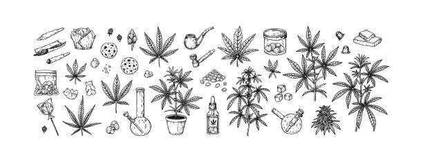 Cannabis set. Hand drawn weed plant, tools for smoking, marijuana cookies and sweets. Vector illustration in sketch stile. Engraving elements for packaging design Cannabis set. Hand drawn weed plant, tools for smoking, marijuana cookies and sweets. Vector illustration in sketch stile. Engraving elements for packaging design blunt stock illustrations