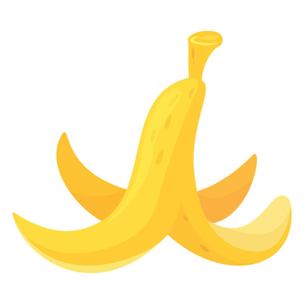 ilustrações, clipart, desenhos animados e ícones de casca de banana pele de fruta tropical amarela nutrição dieta saudável vetor isométrico de alimentos vegetarianos - banana peeled banana peel white background
