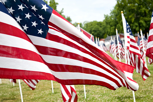 American Flags on put on display in town field to honor American war dead.