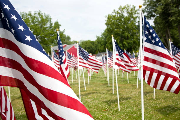istock American Flags on display in a field 1498671276