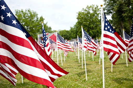 American Flags on put on display in town field to honor American war dead.