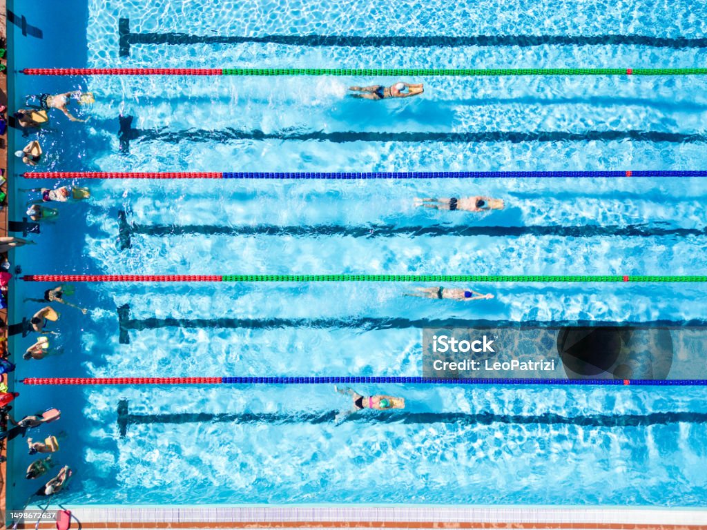 Professional swimmers in a Swimming Pool Aerial Top Down View Swimmers Swimming in outdoor olympic-size 50m Swimming Pool. Professional training. Swimming Stock Photo