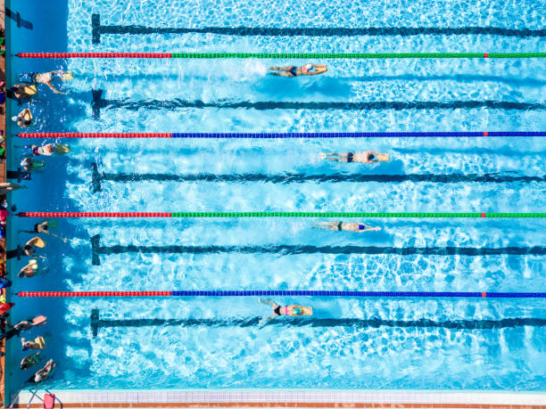 Professional swimmers in a Swimming Pool stock photo