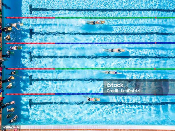 Professional Swimmers In A Swimming Pool Stock Photo - Download Image Now - Swimming, Competition, Sports Race