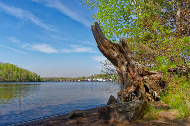 istock Afternoon at the lake 1498676228
